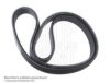 BLUE PRINT AD05R1125 V-Ribbed Belts
